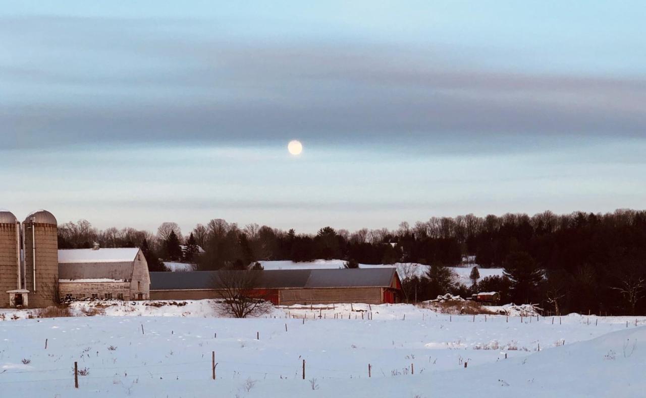 Country Farmhouse Lägenhet East Montpelier Exteriör bild